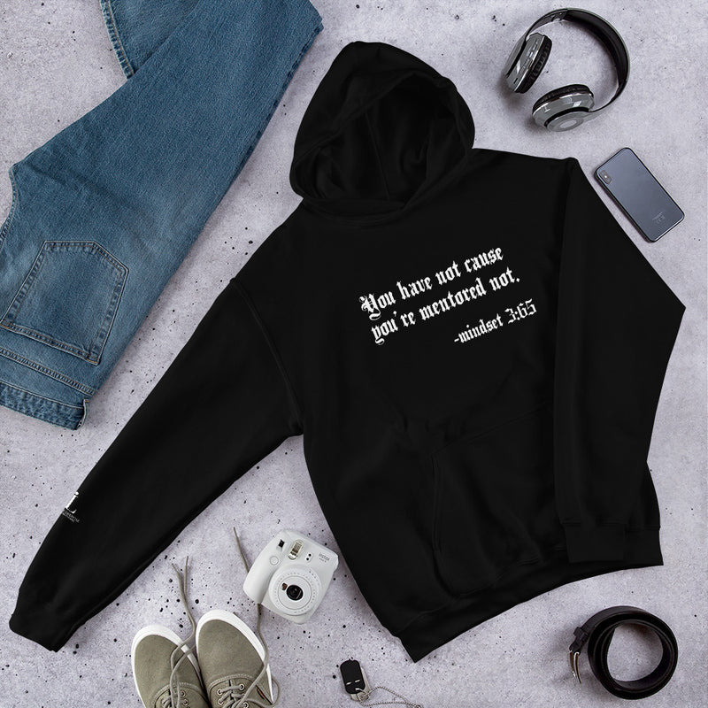 Eye Inspire Life Style -Unisex Mentored Hoodie